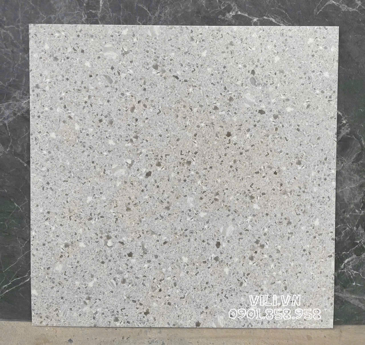 Gạch lát nền terrazzo 60X60 S6031 đá mờ nhám