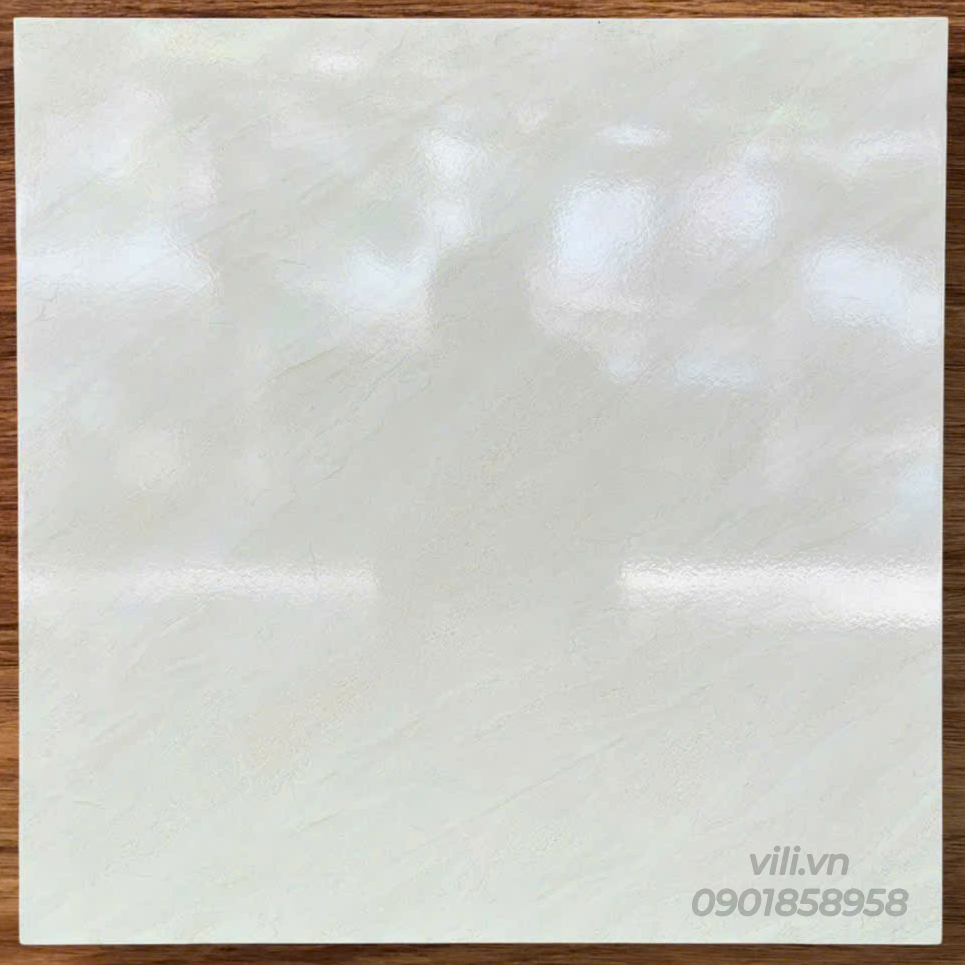 Gạch lát nền 60X60 TTC FB66041 men bóng